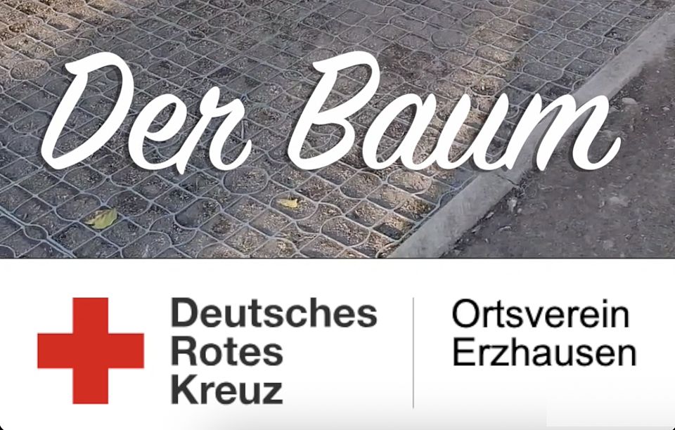 Baum-Pflanz-Challenge